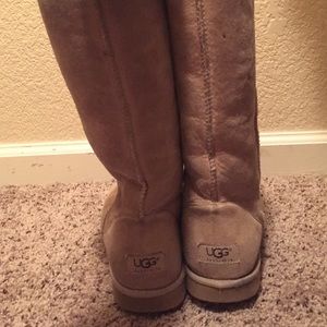 Tall Tan Uggs