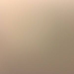 Meet your Posher, Gavin