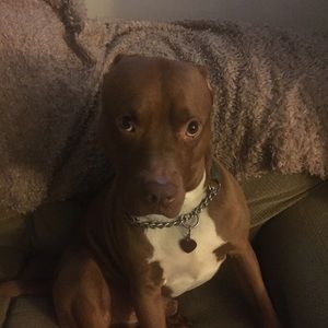 Meet your Posher, Mel