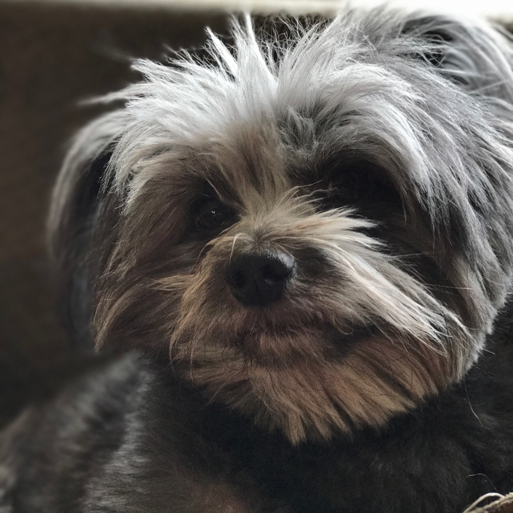 Meet your Posher, Wendy