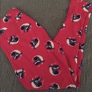 Lularoe TC Halloween Black cats leggings