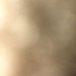 Meet your Posher, Adrian