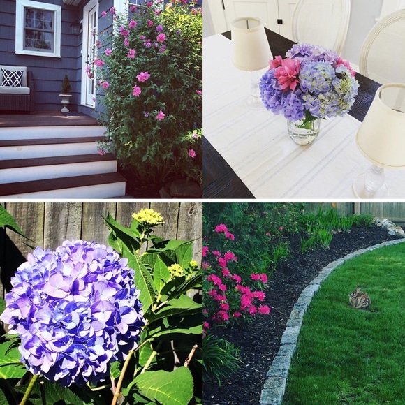 Make an offer! - Picture 4 of 4