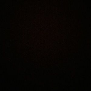 Meet your Posher, Willy