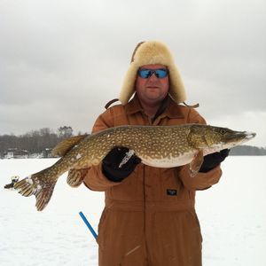 Meet your Posher, Jim