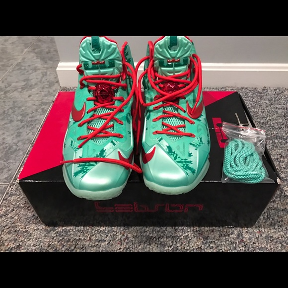 Nike Other - NWOT Nike LeBron XI