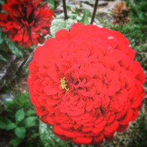 Meet your Posher, Devon