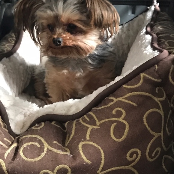 Meet your Posher, Rebecca - Picture 3 of 4