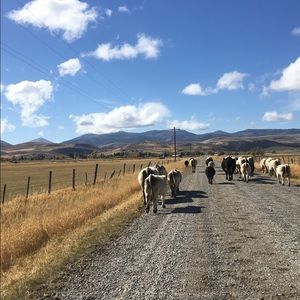 Meet your Posher, Theron