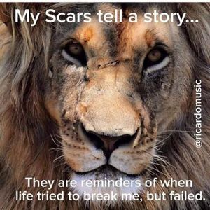 Meet your Posher, Tracy dawn