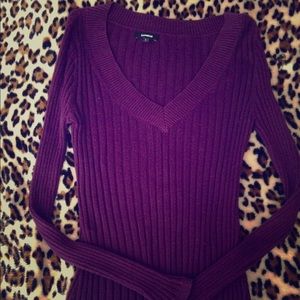 Great Express fitted lightweight sweater~