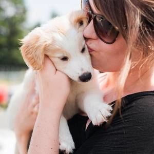 Meet your Posher, Mollie