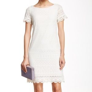 Maggy London lace shift dress