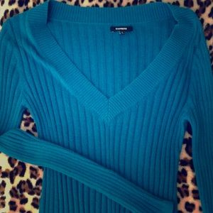 Perfect for fall! Express V Neck sweater~