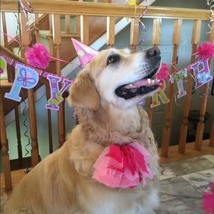 Meet your Posher, Jeanine