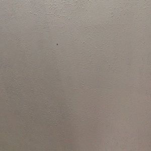 Meet your Posher, Logan