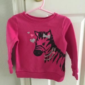 Jumping bean long sleeve sweatshirt size 2T