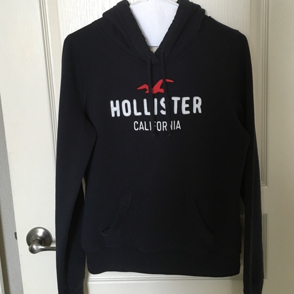 Hollister hoodie sweater