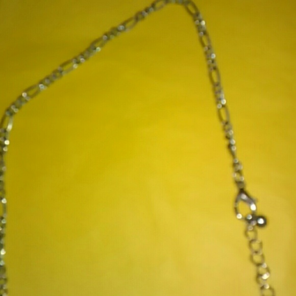 This One is a Hooter! - Picture 4 of 4