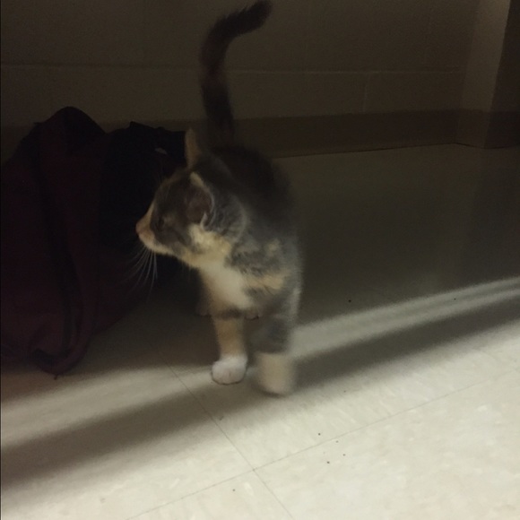 Meet your Posher, Matt - Picture 1 of 1