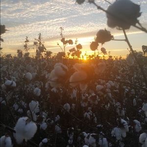 Meet your Posher, Laurie