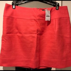 Skirt from J.Crew