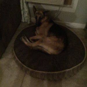 Meet your Posher, Vilma