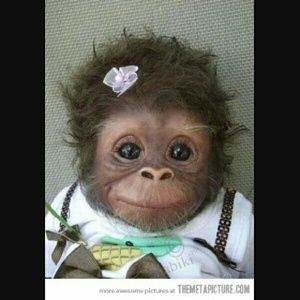 Meet your Posher, Jaden