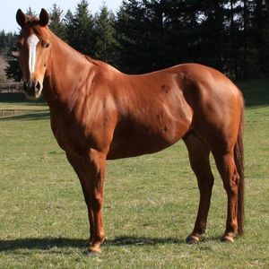 Meet your Posher, Natalie