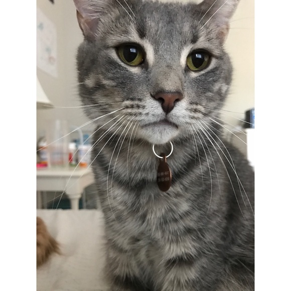 30% OFF BUNDLE OF 3 OR MORE!!!