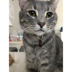 30% OFF BUNDLE OF 3 OR MORE!!!