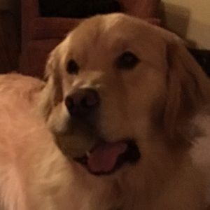 Meet your Posher, Desirae