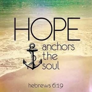 Meet your Posher, Carly