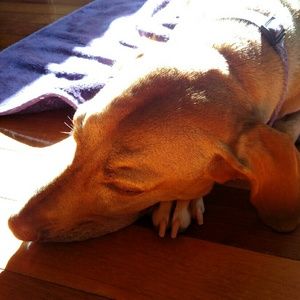 Meet your Posher, Leann