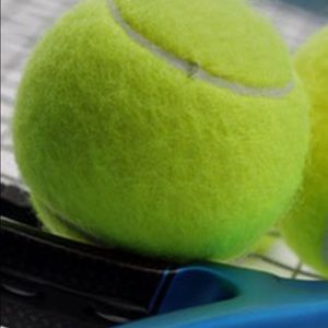 Meet your Posher, Rocco