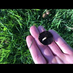 Meet your Posher, Adam