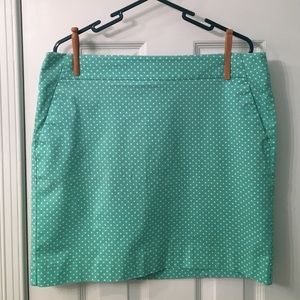 Ann Taylor Madison Skirt