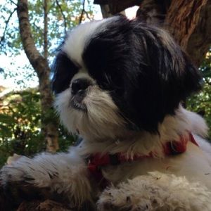 Meet your Posher, Anna