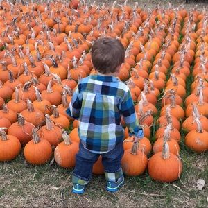 Meet your Posher, Dawn