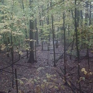 Meet your Posher, Summer