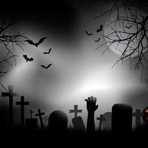 Meet your Posher, Felix