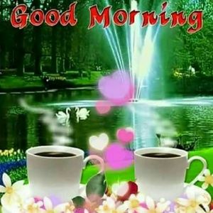 Meet your Posher, Sandy