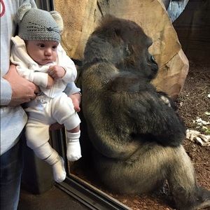 Meet your Posher, Amir