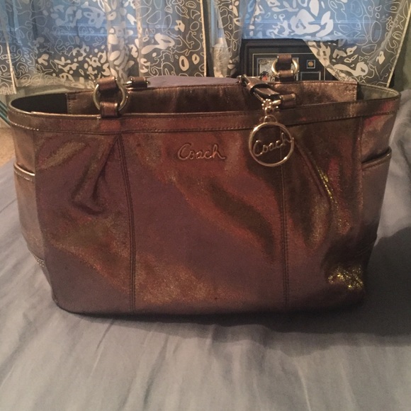 Metallic Coach purse
