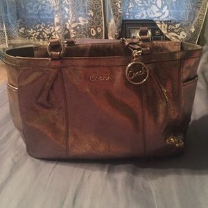 Metallic Coach purse