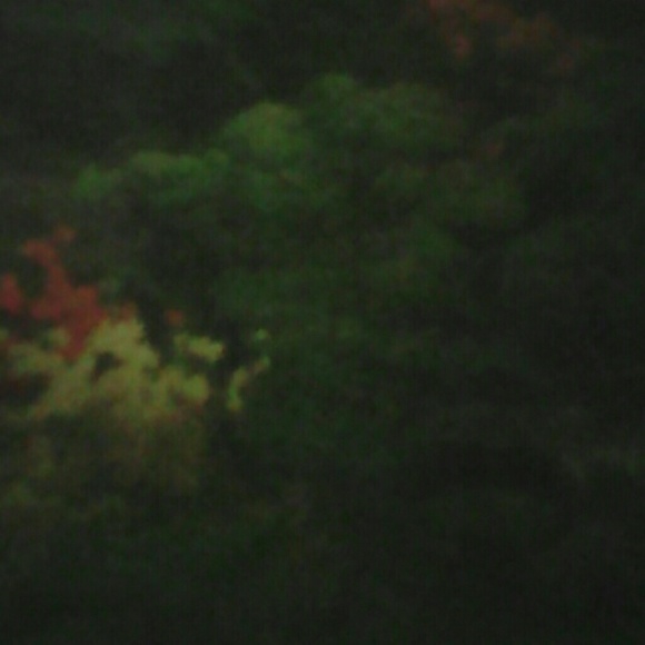 Meet your Posher, Marilyn