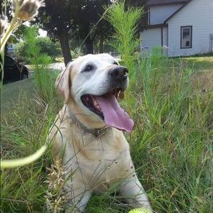 Meet your Posher, Joan