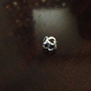 Pandora charm