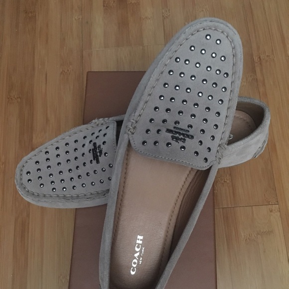 Coach Orlene Calf Suede...the color is Stone.