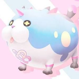 Meet your Posher, Drea